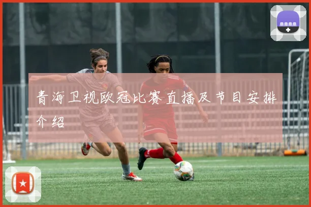 青海卫视欧冠比赛直播及节目安排介绍