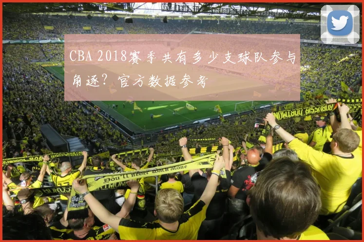 CBA 2018赛季共有多少支球队参与角逐？官方数据参考
