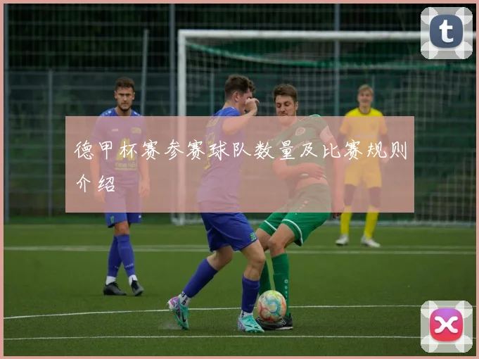 德甲杯赛参赛球队数量及比赛规则介绍